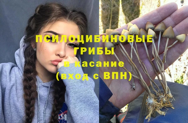 стаф Белокуриха